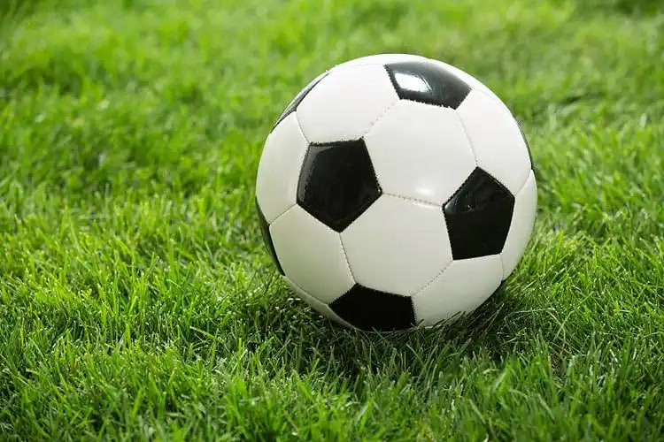 媒体机构使用场景